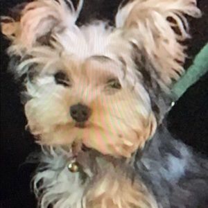 Meet your Posher, Della